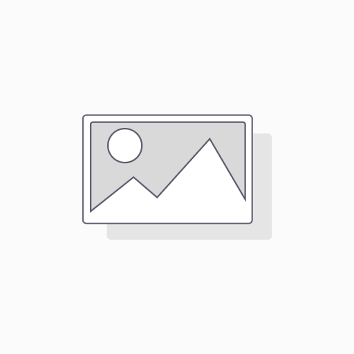 Python Grundkurs 30 Tage